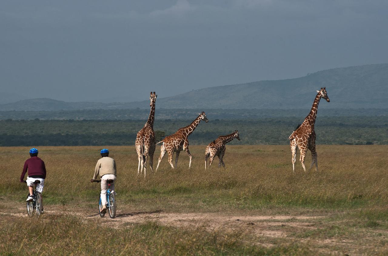 Villa Kicheche Laikipia Camp à Ol Pejeta Conservancy Extérieur photo