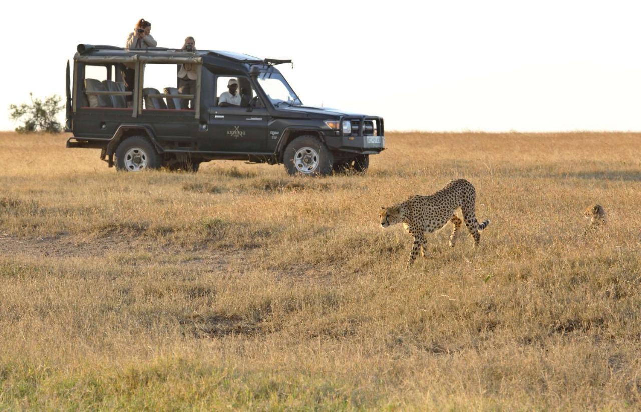 Villa Kicheche Laikipia Camp à Ol Pejeta Conservancy Extérieur photo